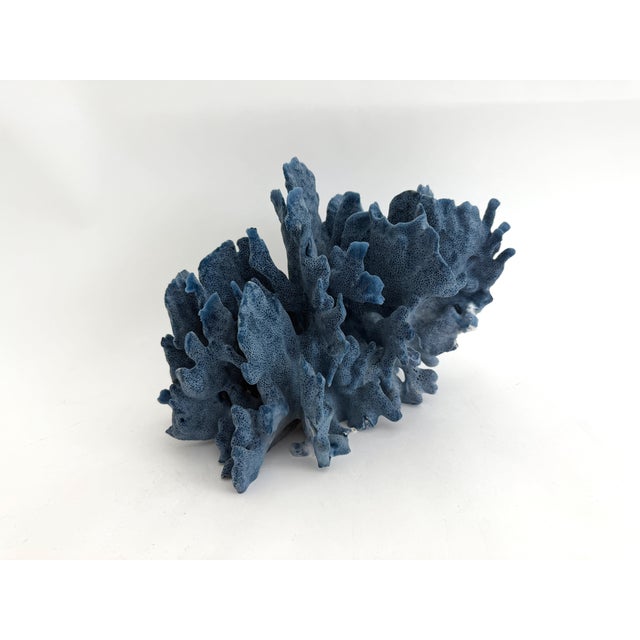 Shell Natural Blue Coral Specimen Coastal Decor For Sale - Image 7 of 8