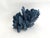 Shell Natural Blue Coral Specimen Coastal Decor For Sale - Image 7 of 8