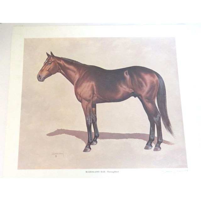 Mid-Century Modern Darol Dickinson's Limited Edition Print Color of Horses / Mahogany Bay-Thoroughbred Signed Vtg For Sale - Image 3 of 11
