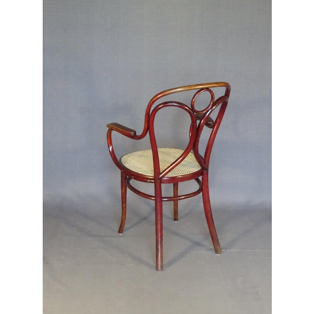 Art Nouveau Armchair from Gebrüder Thonet, 1910 For Sale - Image 6 of 12