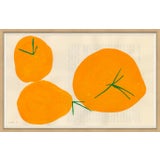 Image of Persimmon Art Print For Sale