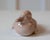 Royal Copenhagen Mid 20th Century Duckling by Royal Copenhagen - The finest Danish porcelain For Sale - Image 4 of 7