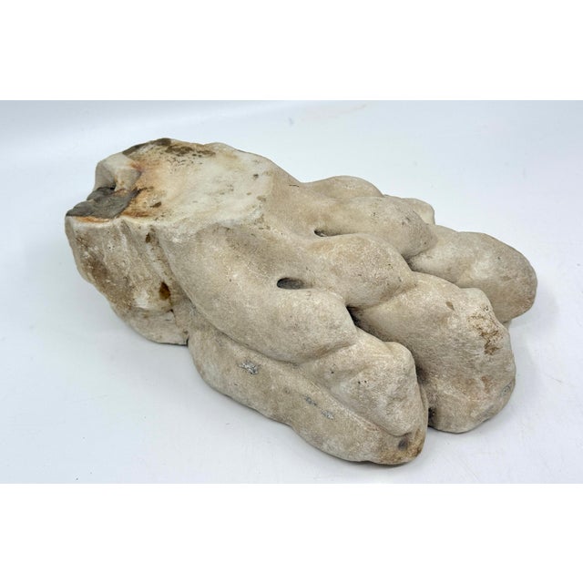 Antique Classical Marble Stone Fragment Lions Claw For Sale - Image 17 of 18