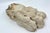 Antique Classical Marble Stone Fragment Lions Claw For Sale - Image 17 of 18