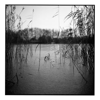 Paul Cooklin, Frozen Lake, Wivenhoe, Essex, Edition of 50 For Sale