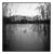 Paul Cooklin, Frozen Lake, Wivenhoe, Essex, Edition of 50 For Sale