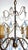 Metal Antique Gilded Metal Murano Glass Drop Six-Light Chandelier, 1930s For Sale - Image 7 of 14