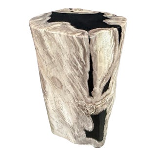 Andrianna Shamaris Abstract High Quality Petrified Wood Side Table For Sale