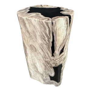 Andrianna Shamaris Abstract High Quality Petrified Wood Side Table