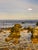Contemporary Contemporary Photo of Orient Point, Ny on Plexiglass - Unknown Artist For Sale - Image 3 of 4