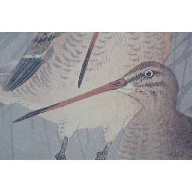 Mid 20th Century Japanese Ohara Koson Snipes Herons Birds Reeds Woodblock Prints 32" - Set of 2 For Sale - Image 6 of 14