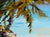 Original Rick Bond “Caribbean” Tropical Coastal Landscape Painting, Framed For Sale In Los Angeles - Image 6 of 12