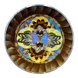 Vintage Brazilian Butterfly Wing Mosaic Tray Wall Art, Round Lucite and Steel For Sale
