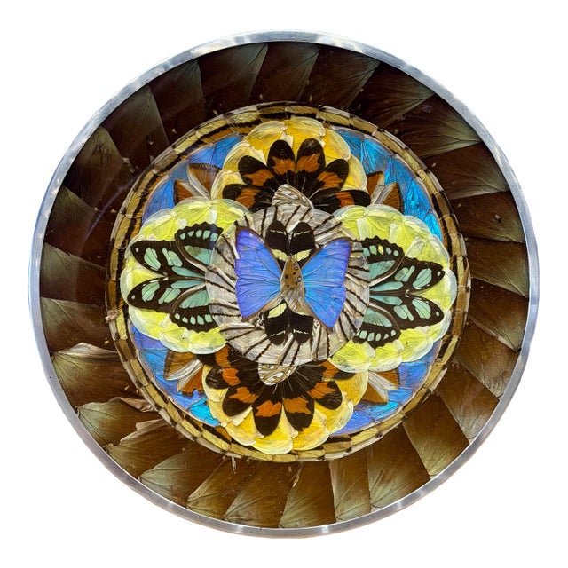 Vintage Brazilian Butterfly Wing Mosaic Tray Wall Art, Round Lucite and Steel For Sale