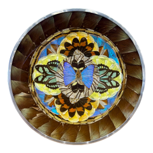 Vintage Brazilian Butterfly Wing Mosaic Tray Wall Art, Round Lucite and Steel