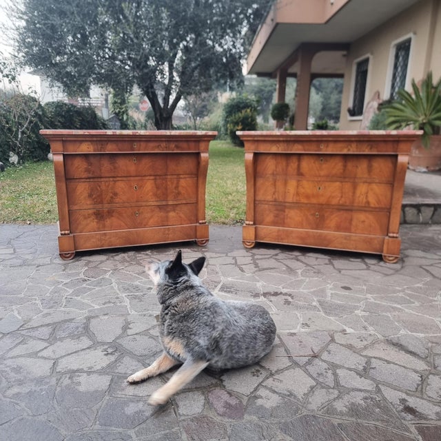 Imperial Elegance and Historical Prestige This refined pair of First Empire chests of drawers, dating back to around 1810,...