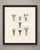 This antique bird print shows a comparative plate of seven goose heads lettered fig i to fig vii, each drawn from the...