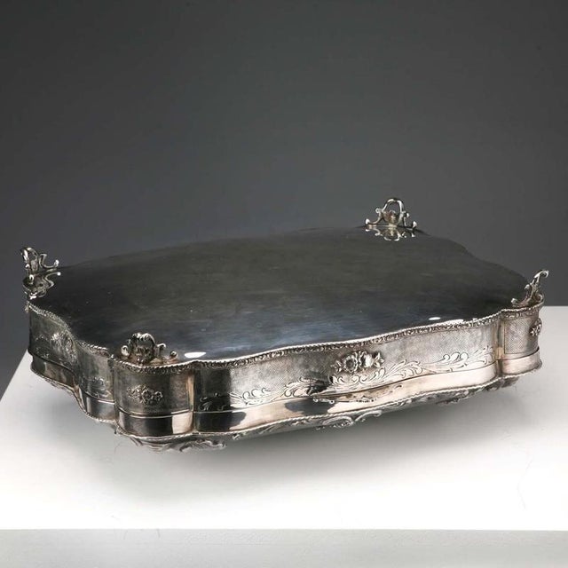 Silver Silver Box with Plant and Floral Motifs For Sale - Image 8 of 16