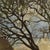 Framed Oil Painting on Canvas by Victor Mullie 'Farmyard Beneath the Trees' For Sale - Image 12 of 16