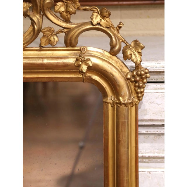 19th Century French Louis XV Carved Giltwood Mirror With Grape and Vine Crest For Sale - Image 4 of 7