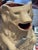 Antique French Majolica Pottery Bear Pitcher For Sale - Image 12 of 12