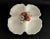 A vintage floral 4-part serving platter featuring ornate raised decoration. The porcelain platter has a delicate floral...