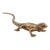 Golden Lizard Wall Decor For Sale
