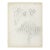 1950s Grace Spongberg Mexican Cactus Drawing For Sale
