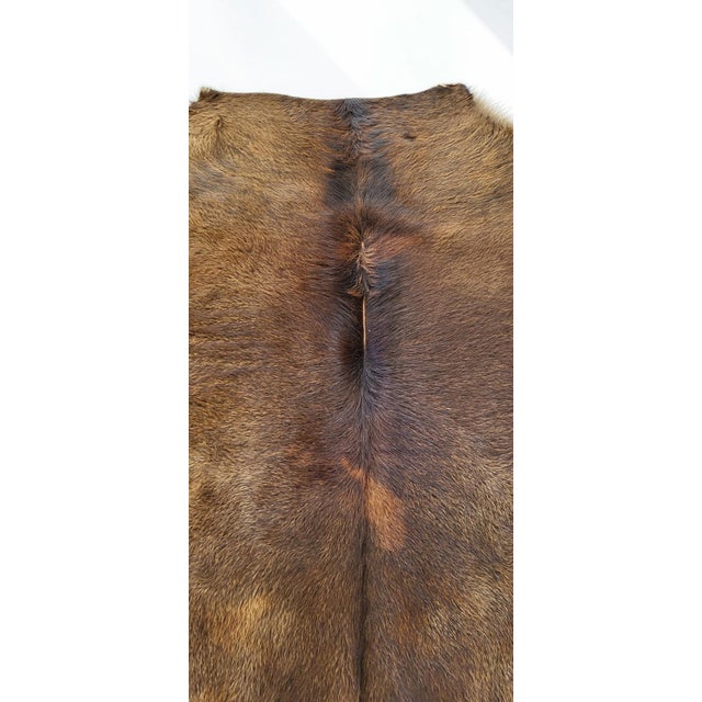 Brown Vintage Rug in Cowhide, 1970s For Sale - Image 8 of 9