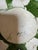 Capodimonte Lemon Candles Holders, Set of Two For Sale - Image 10 of 12