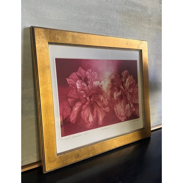 Signed Mezzoting by g.h. Rothe, Titled Hibiscus For Sale - Image 4 of 10