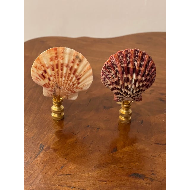 Coastal Pair of Coastal Sea Shell Lamp Finials Bronze For Sale - Image 3 of 4