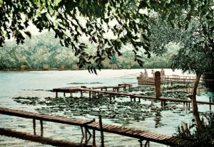 Frances St. Clair Miller, Lake at Carcaron II, Circa 1990
