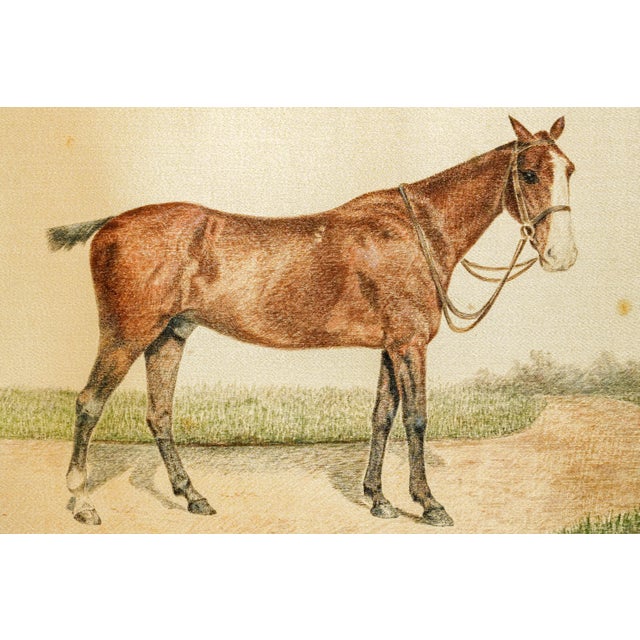 Rare Pair Antique English Horse Portraits on Silk Hand Painted Equestrian Sporting Art Home Decor For Sale - Image 4 of 17
