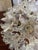 Vintage Italian Murano Style Sputnik Chandelier in the Manner of Paolo Venini "Espirit", 28 Glass Florets For Sale - Image 11 of 18