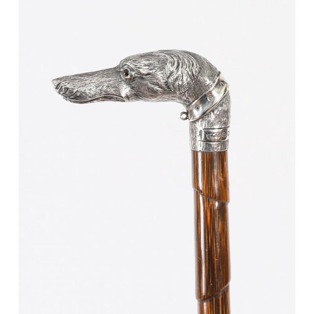 Antique Greyhound Head Sliver Handled Walking Stick Cane, 1890s For Sale - Image 6 of 12