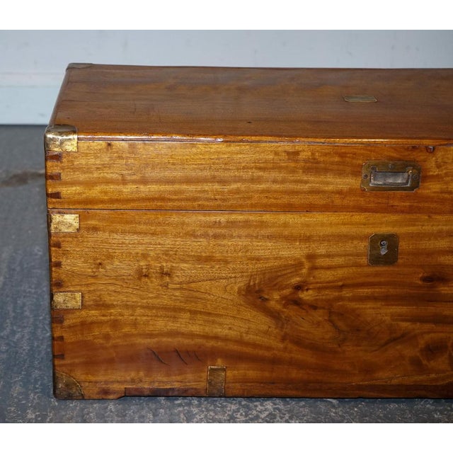 Antique English Camphor Wood Storage Trunk, 19th Century For Sale - Image 4 of 18