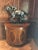 Leighton Hall Showroom Sample - Mahogany Demilune Cabinet For Sale - Image 10 of 11