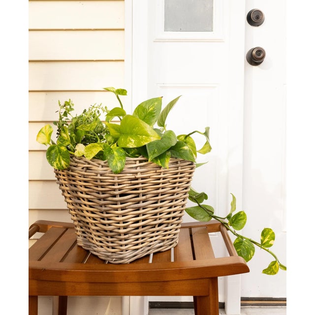 Farmhouse Artifacts Rattan Square Tapered Planter with Black Plastic Insert, Natural, 11.5" For Sale - Image 3 of 10