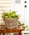 Farmhouse Artifacts Rattan Square Tapered Planter with Black Plastic Insert, Natural, 11.5" For Sale - Image 3 of 10