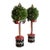 MacKenzie-Childs Courtly Check Holiday Boxwood Topiary Trees With Gold Accents — A Pair For Sale