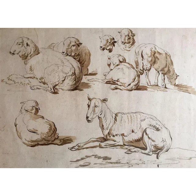 Wood 18th Century Dutch Study of Sheep Ink Drawing in French Carved & Gilt Wood Frame For Sale - Image 7 of 8