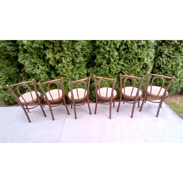Chairs in Beech Bentwood from Tatra, 1960s, Set of 6 For Sale - Image 6 of 15