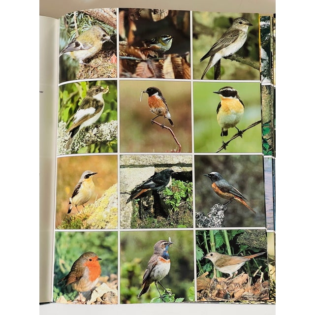 Coffee Book the Photographic Guide Birds of the World For Sale - Image 4 of 10