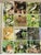 Coffee Book the Photographic Guide Birds of the World For Sale - Image 4 of 10