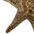 A striking vintage cast-brass starfish sculpture dating to approximately the 1970s. Modeled with five-dimensional arms and...