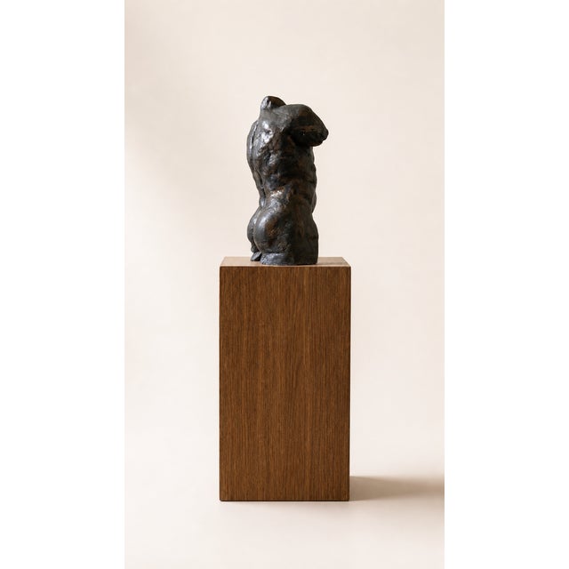 Nude Statue, 1800s, Terracotta For Sale - Image 4 of 7
