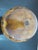 Jess Craig Turned Norfolk Island Pine Wood Studio Hawaii Art Footed Bowl For Sale - Image 11 of 11