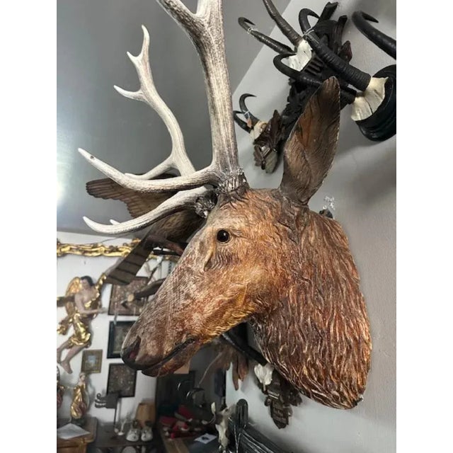 Late 19th Century Wood Carved Stag Head Blakc Forest Deer Carving For Sale - Image 4 of 9