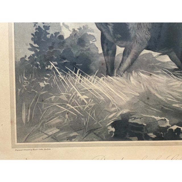 Rare Antique 1894 Wand and Noble Pride of the Glen Moose Elk Engraving Print Art For Sale - Image 9 of 14